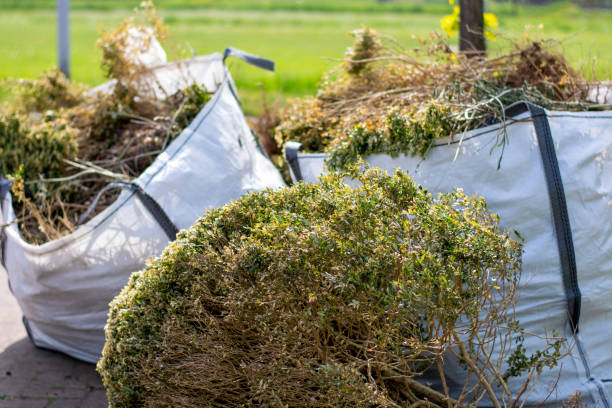 Best Carpet Removal and Disposal  in Port Labelle, FL
